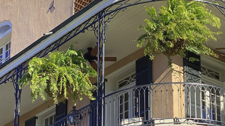 French Quarter balcony with a cast-iron railing and hanging greenery